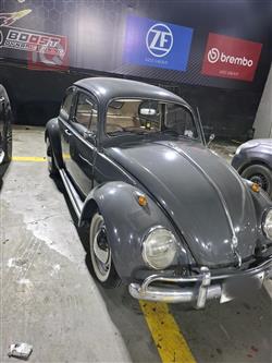 فولكسفاغن بيتل